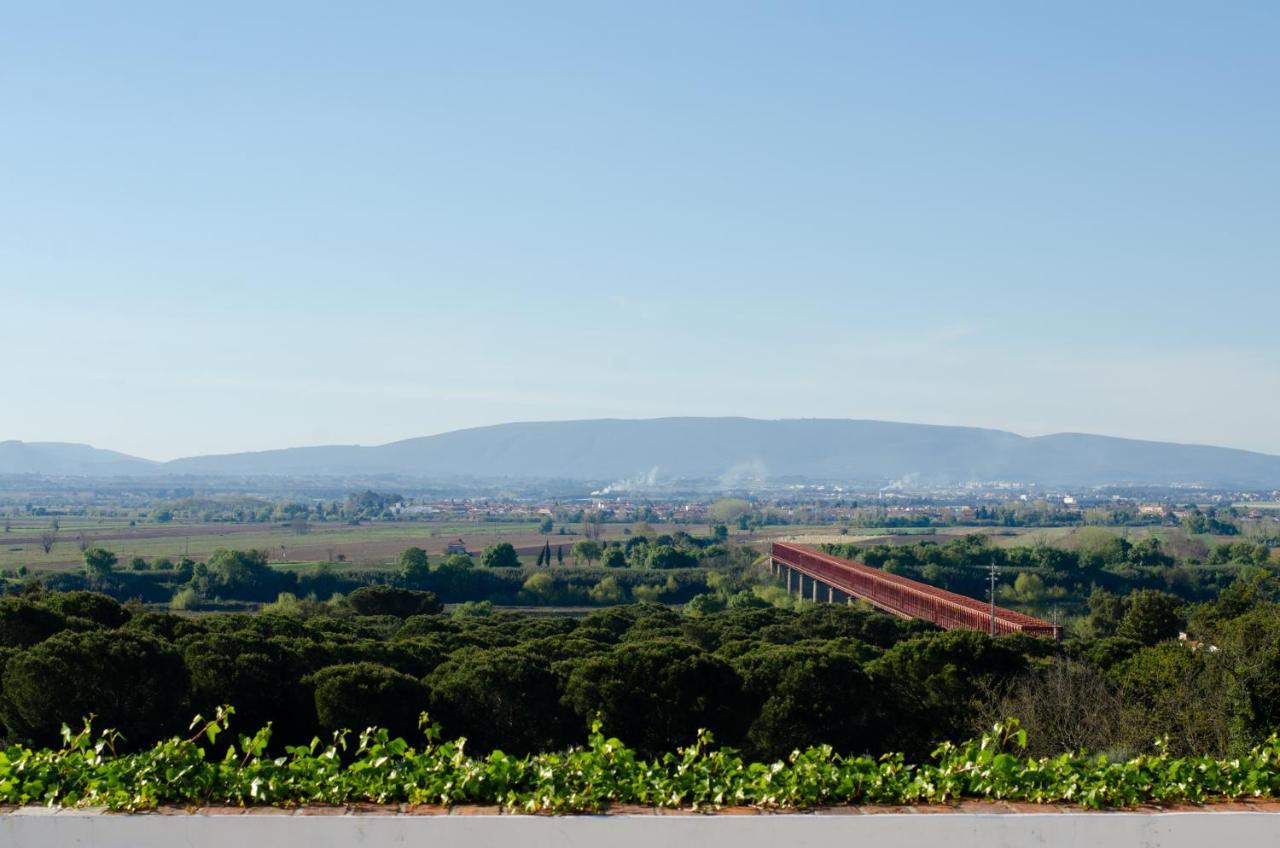 Convento Inn And Artists Residency Chamusca  Екстериор снимка