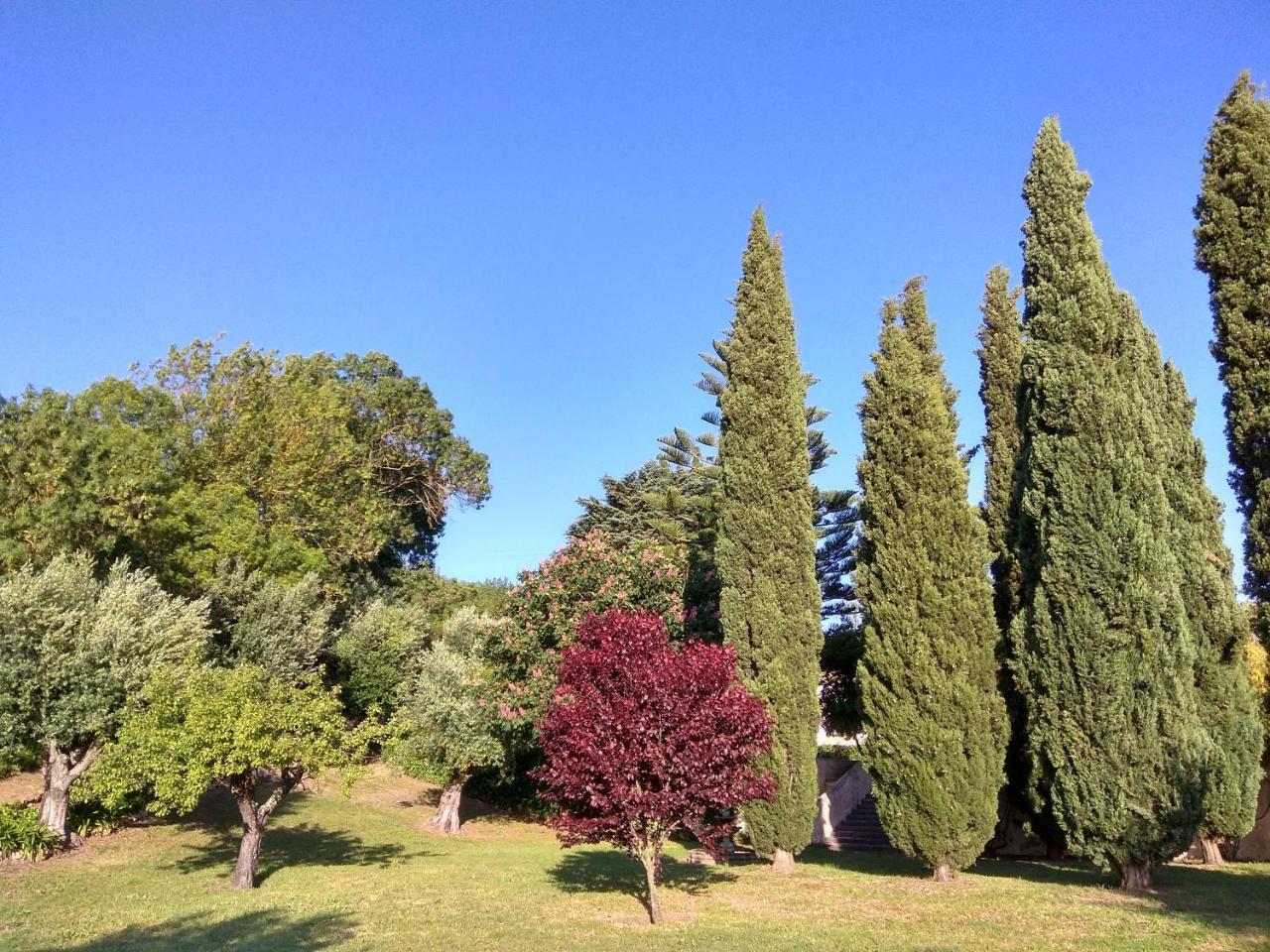 Convento Inn And Artists Residency Chamusca  Екстериор снимка