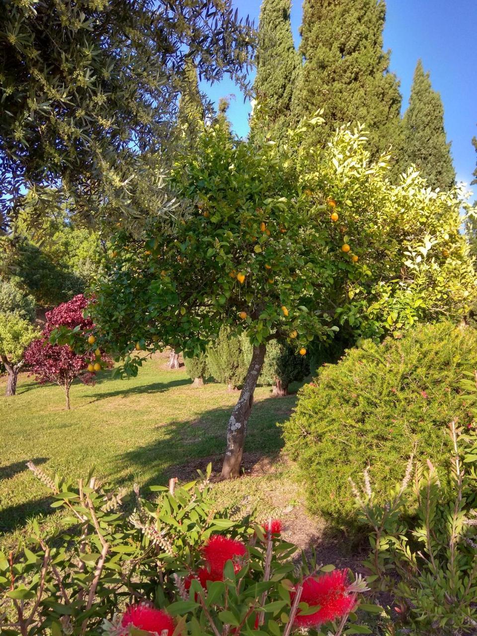 Convento Inn And Artists Residency Chamusca  Екстериор снимка